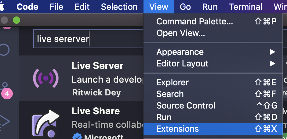 VS Code extensions view